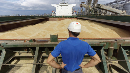 Через порты Ленинградской области будут отгружать на четверть больше зерна
